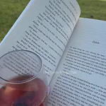 The Cosy Hedgerow Port Carlisle