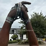 The Cosy Hedgerow Σπίτι διακοπών Port Carlisle