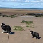 Σπίτι διακοπών The Cosy Hedgerow *