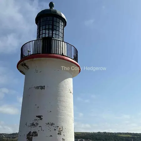 The Cosy Hedgerow Feriehus