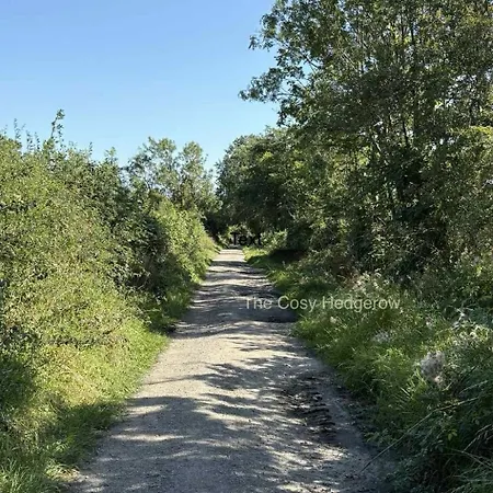 The Cosy Hedgerow Port Carlisle