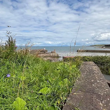 The Cosy Hedgerow * Port Carlisle