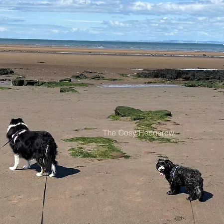 Σπίτι διακοπών The Cosy Hedgerow *